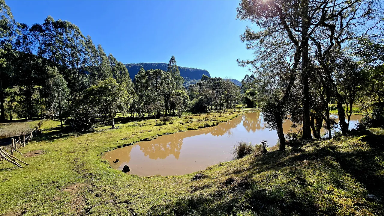 Terreno 70.000 m². Oportunidade de Investimento!