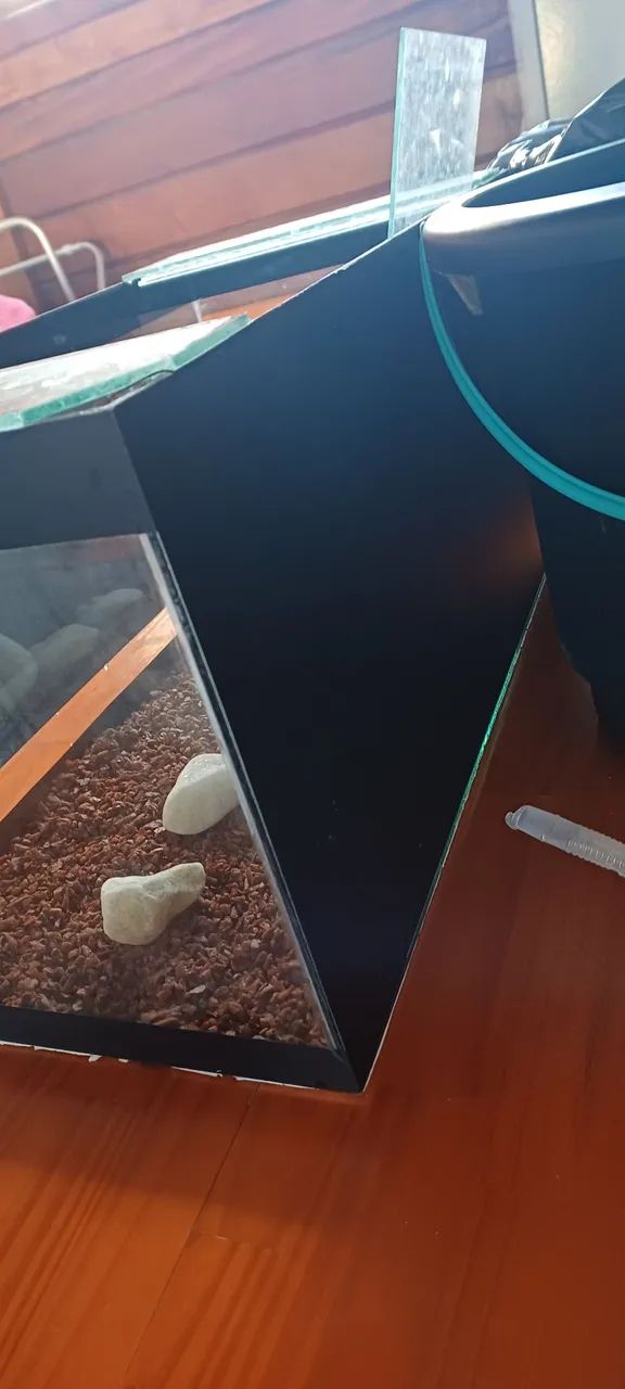 Aquário com Decoração - Foto 3