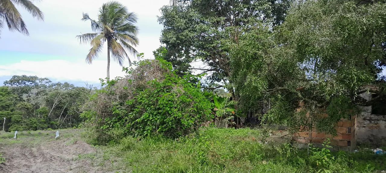 Sitio 3 taferas itaporanga  - Foto 10