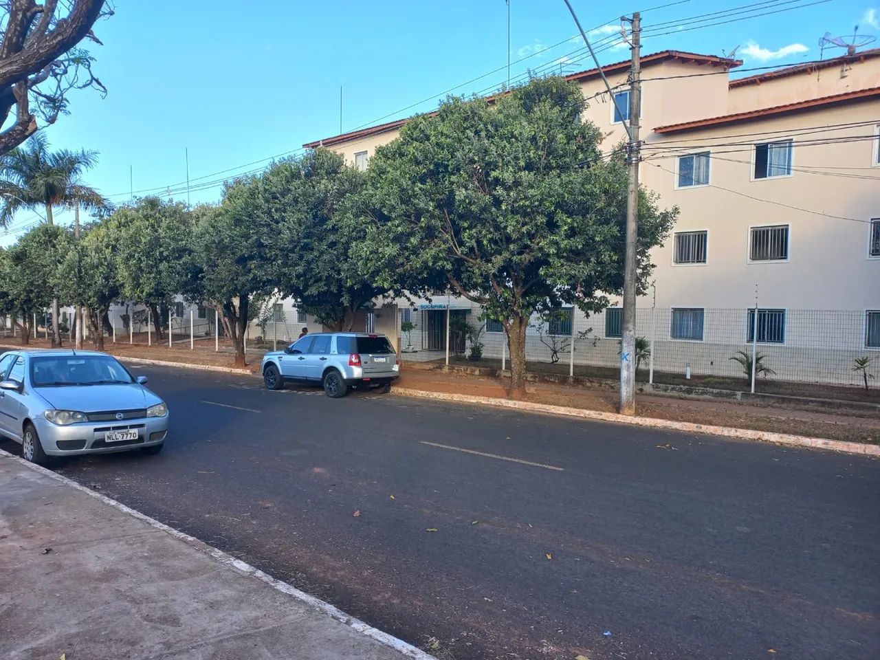 Foto - Araguari - Sibipiruna