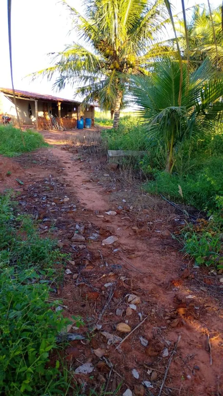 Lote com irrigação 40 hectares falar com José Bento * zap