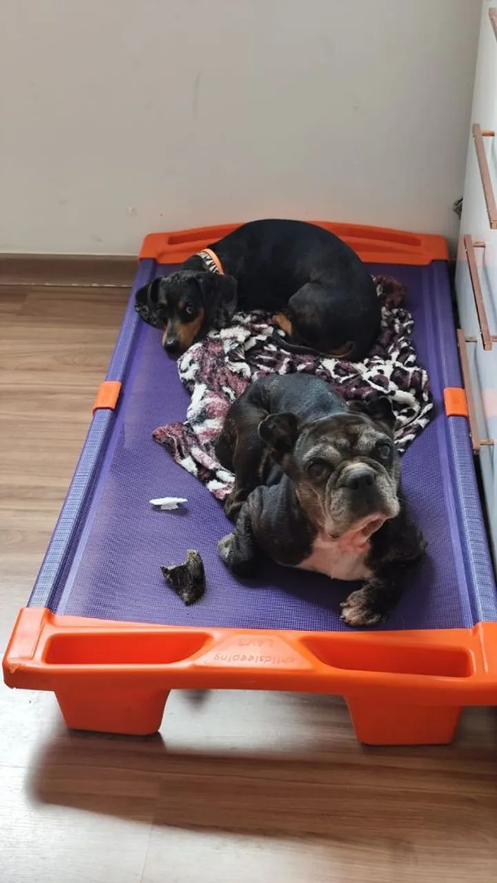 Cama elevado  - Foto 4