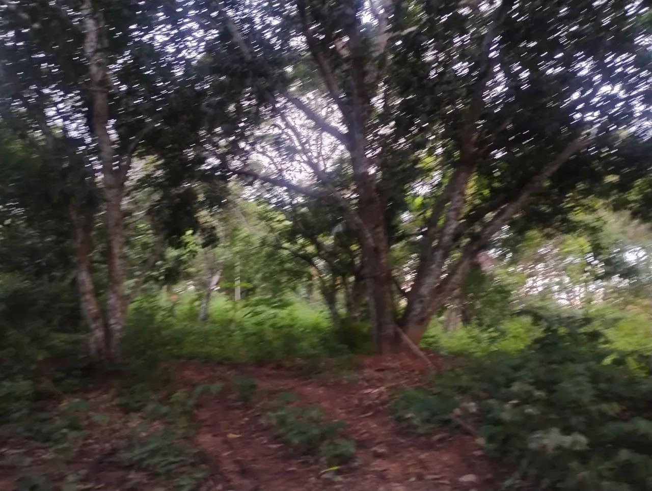 Venda de terra, aceita moto/carro, c/ parte do pagamento  - Foto 5