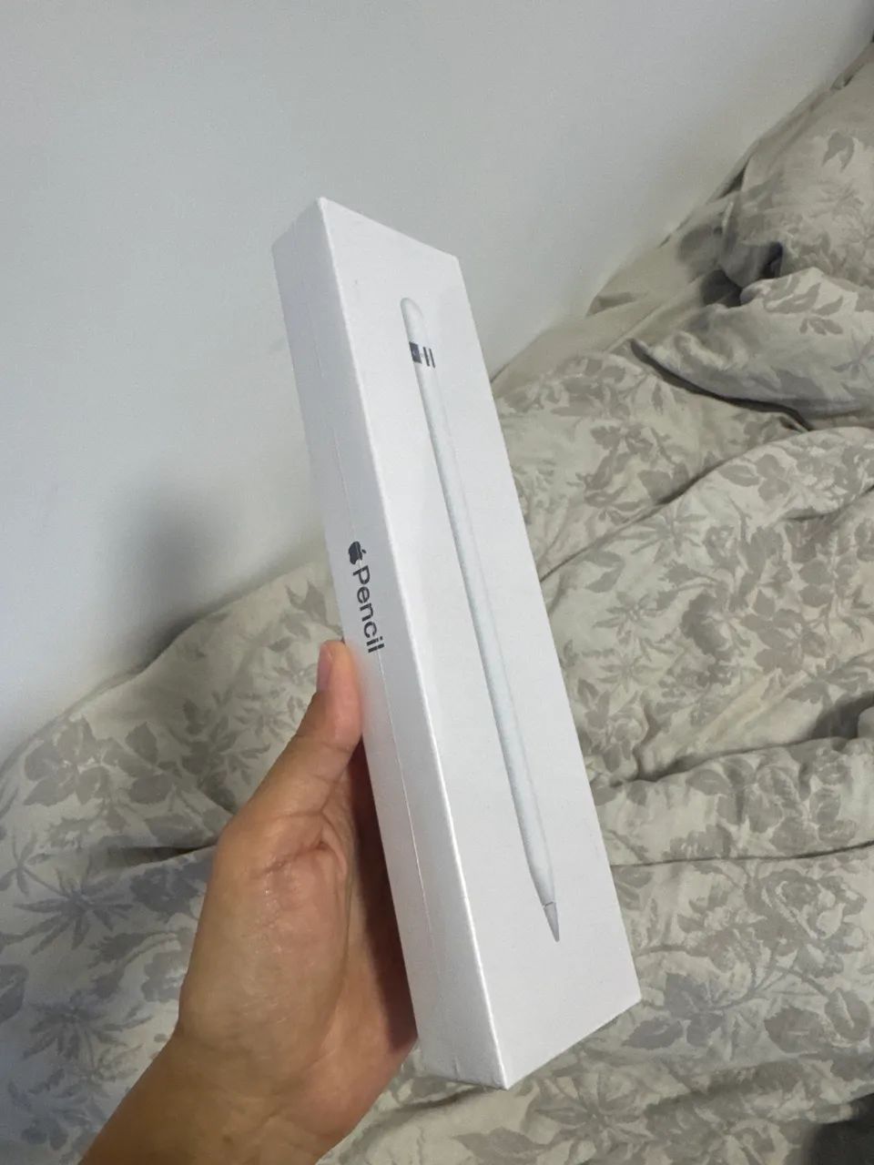 Apple Pencil USB-C Original Lacrado | Novo | Nunca Usado