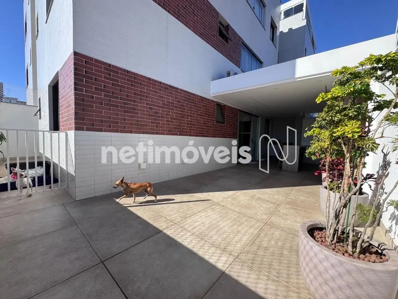 Venda Apartamento 2 quartos Renascença Belo Horizonte - Foto 4