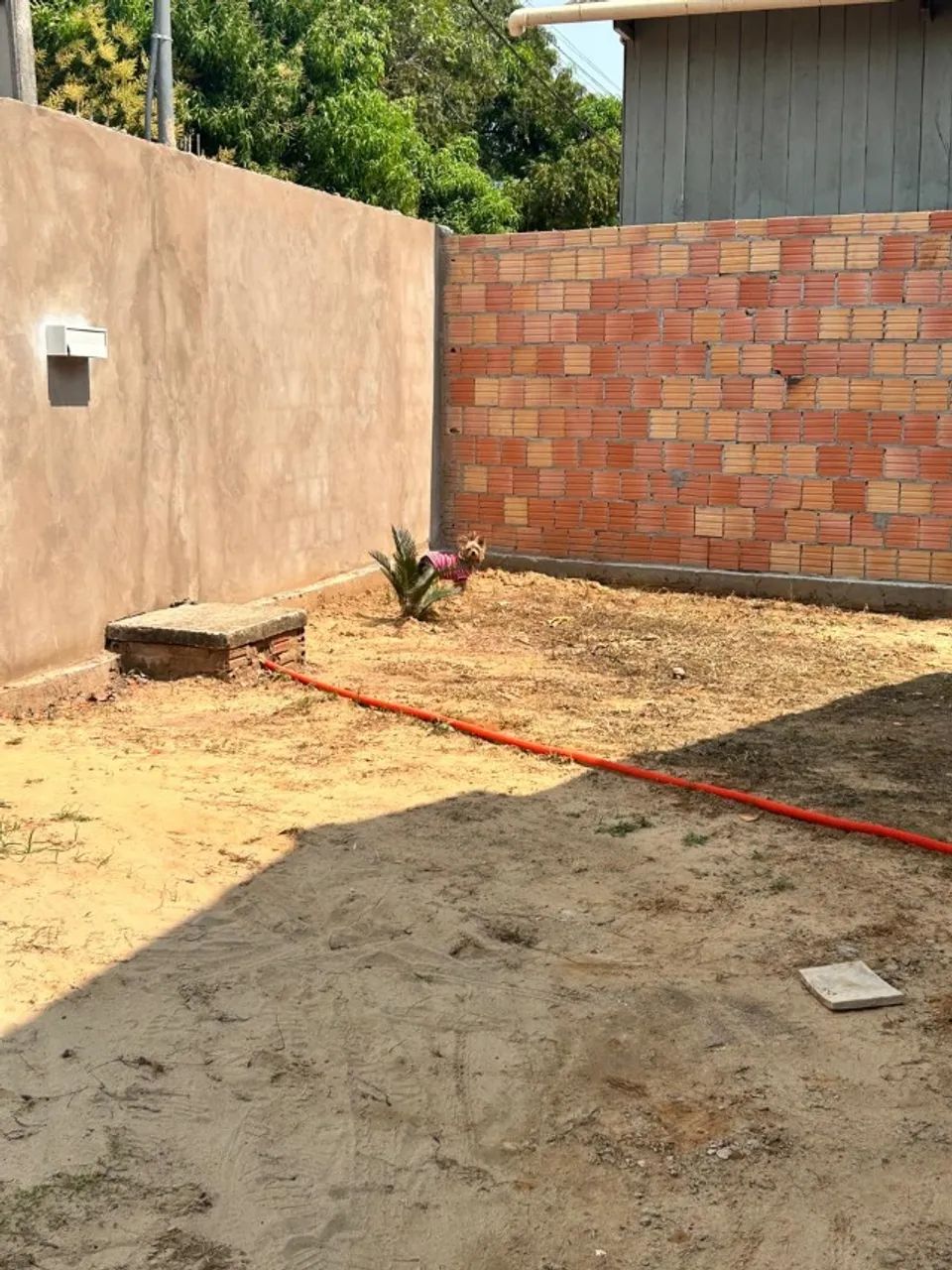 Casa à venda em Xapuri. - Foto 3