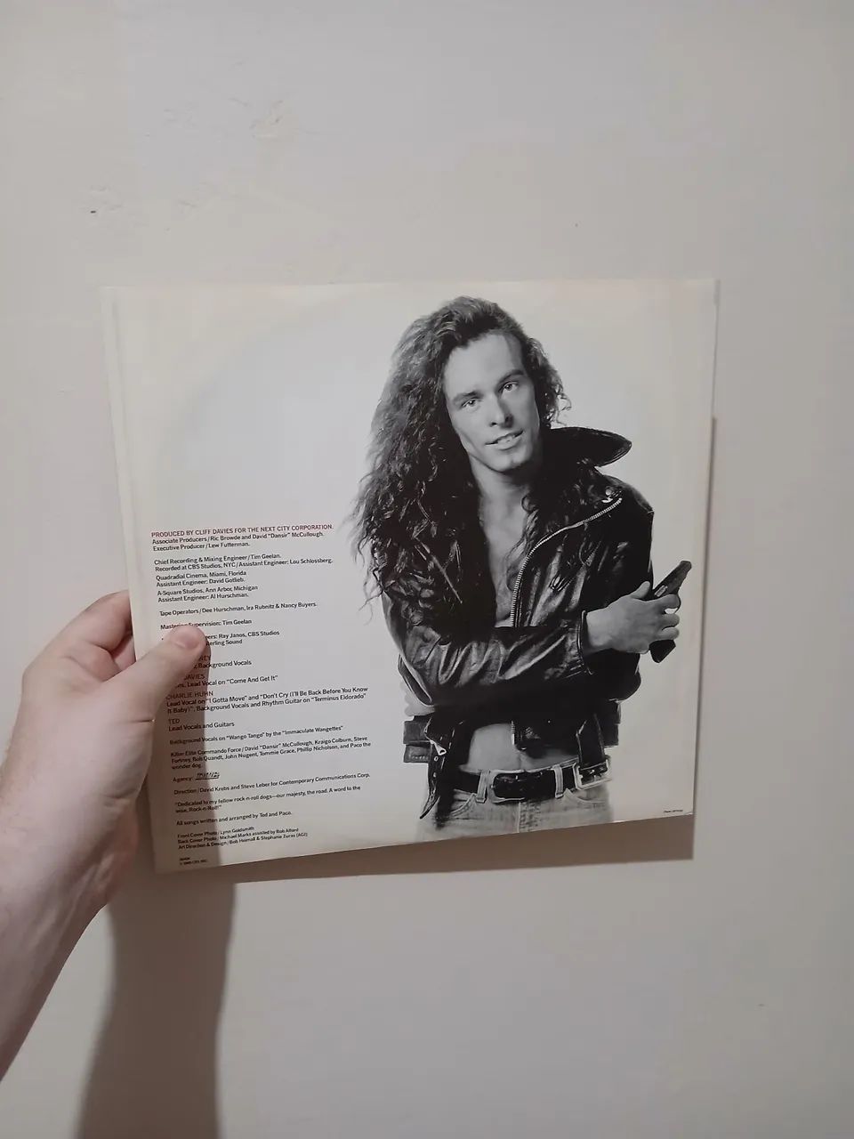 LP Ted Nugent - Scream Dream - importado USA com encarte - Foto 3