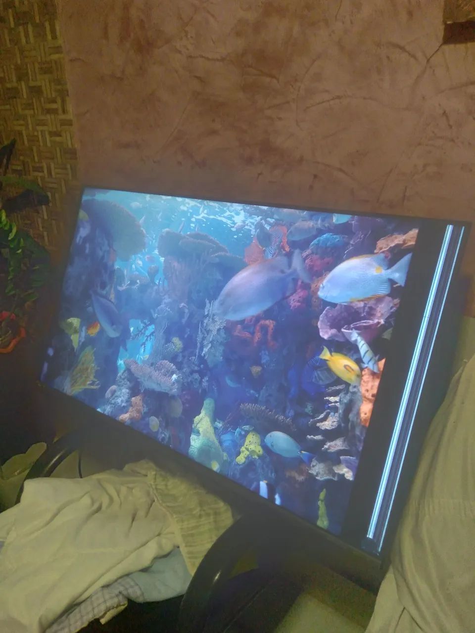 TV PHILCO 55" LED422080450020003841