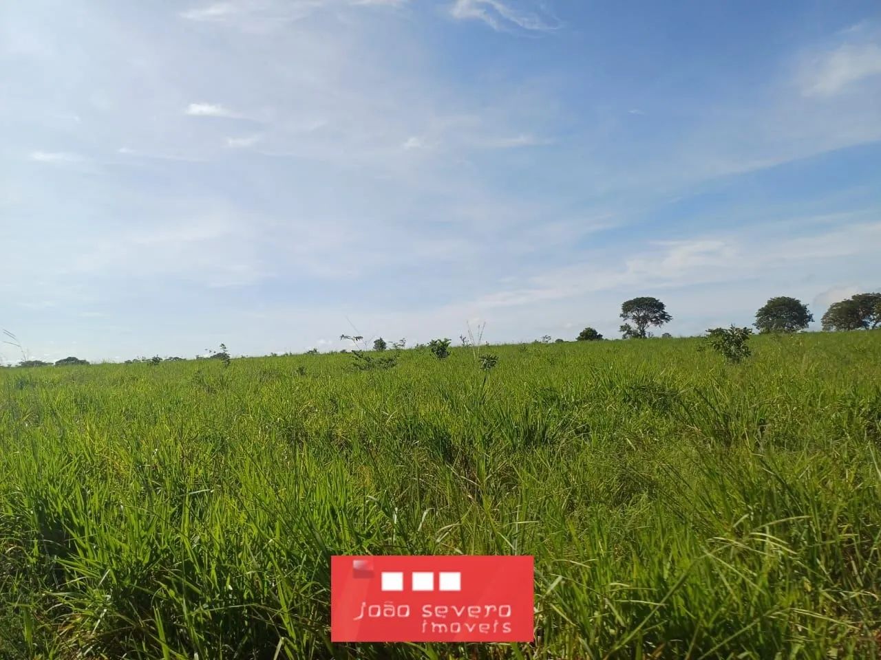 Fazenda para Venda em Tesouro - Foto 4