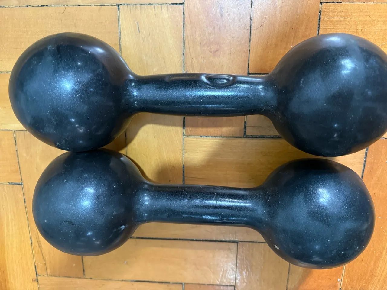 Halter Par 10kg Emborrachado