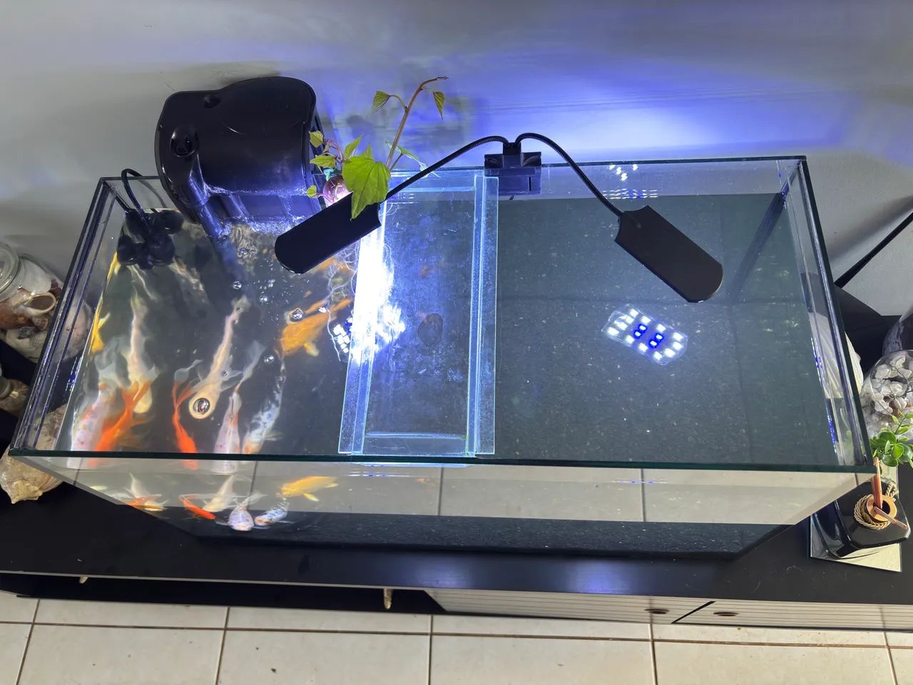 Aquário 80L - Foto 3
