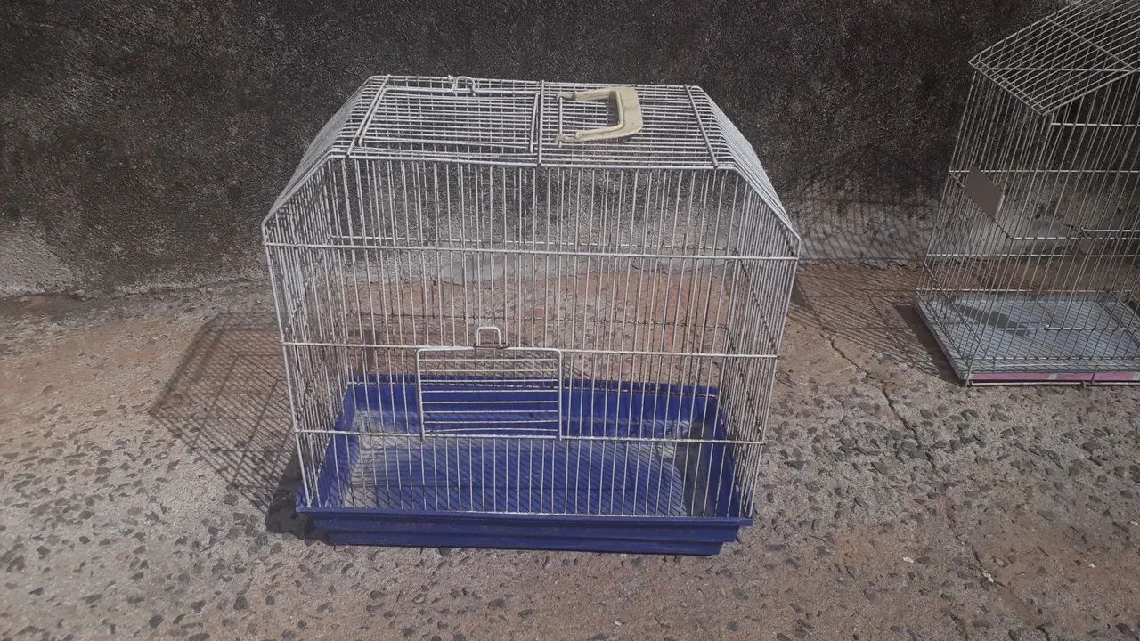 Vendo gaiolas 