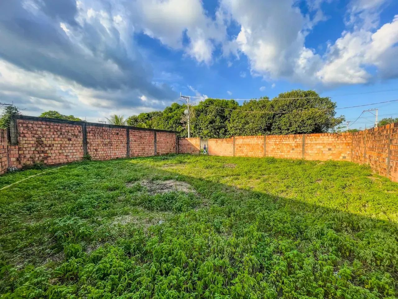 Terreno no Santa Etelvina com 441m² Todo Murado - Foto 8