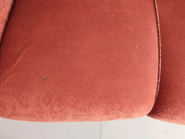 Sofá de 2 lugares em veludo - Foto 5