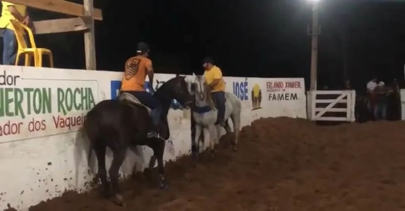 Vendo égua de esteira 