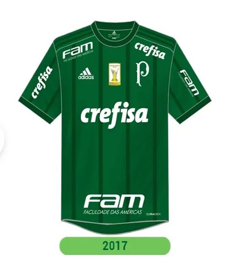 palmeiras 2017 - Foto 2