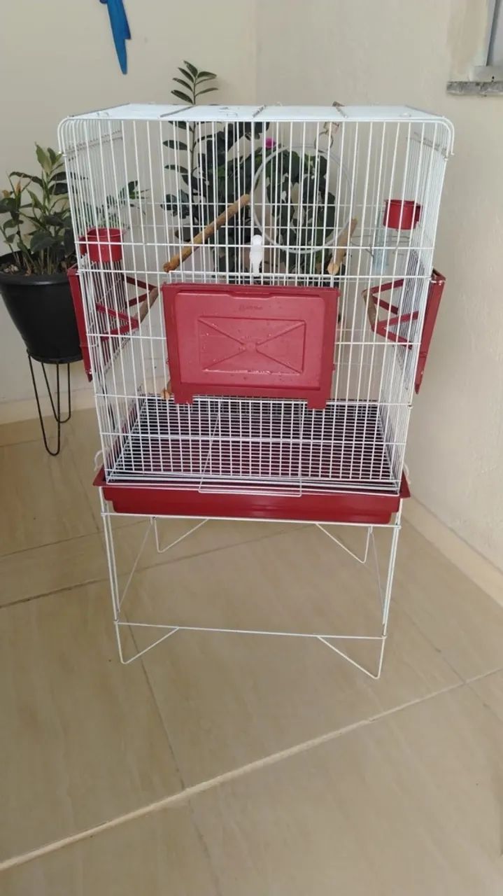 Gaiola Muito Nova  - Foto 2