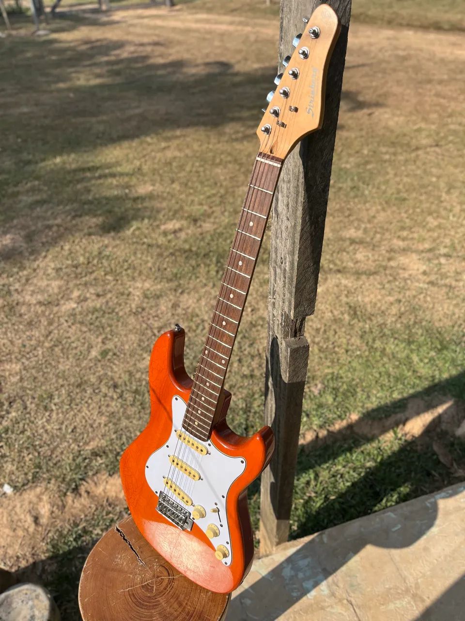 Guitarra strinberg