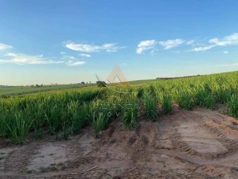 Fazenda - Echaporã - Zona Rural - Foto 5