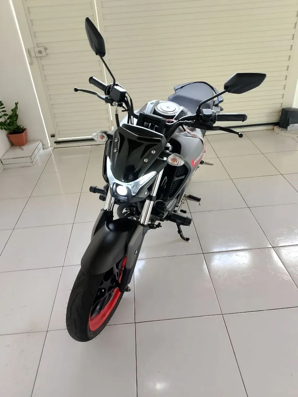 Fz 15 2025