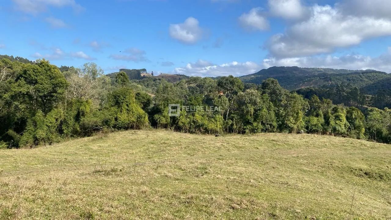 Fazenda / Sítio / Chácara em Rio Pequeno - Angelina, SC - Foto 2