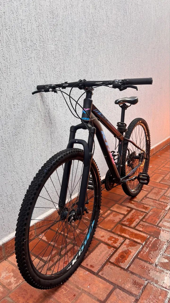 Bike Aro 29