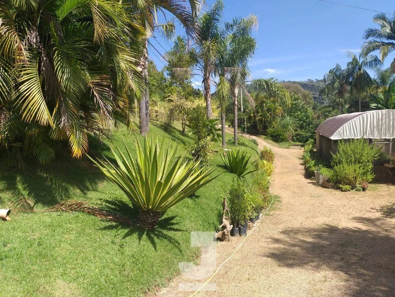 Chácara à Venda - Lambedor, Monte Alegre do Sul - 2.048m2 - 1 Quartos - Foto 5