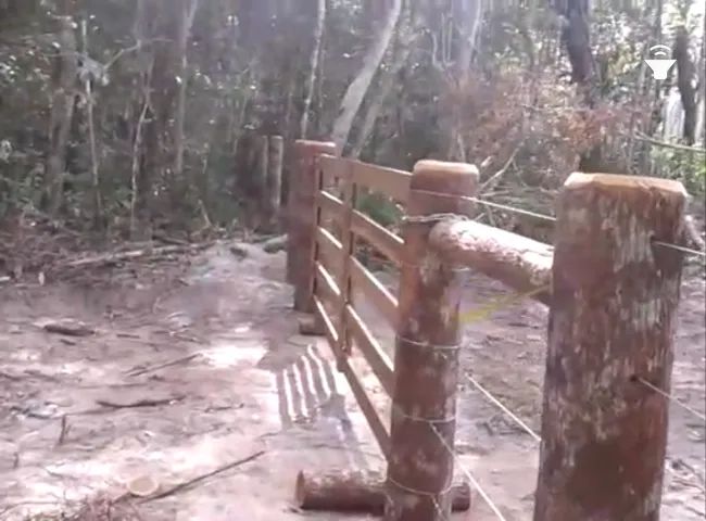 Fazenda de 1500 hectares em Roraima