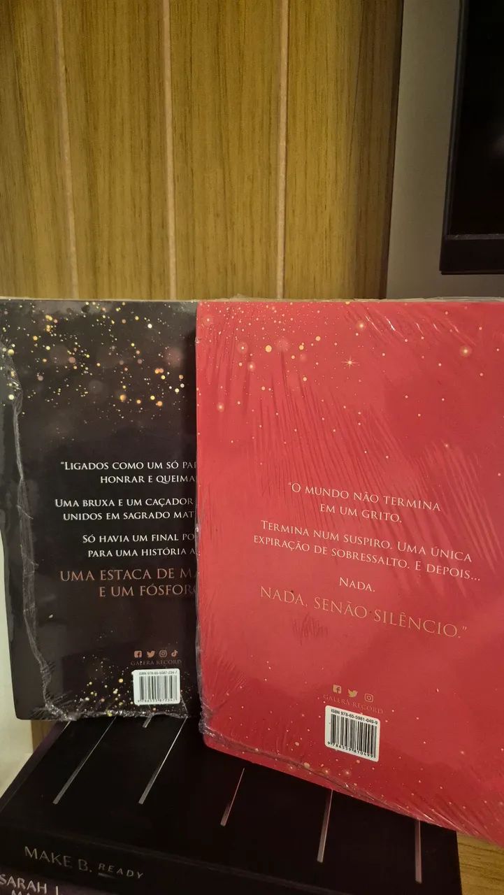 Pássaro e serpente(Vol 1), sangue e mel (vol2)  - Foto 2