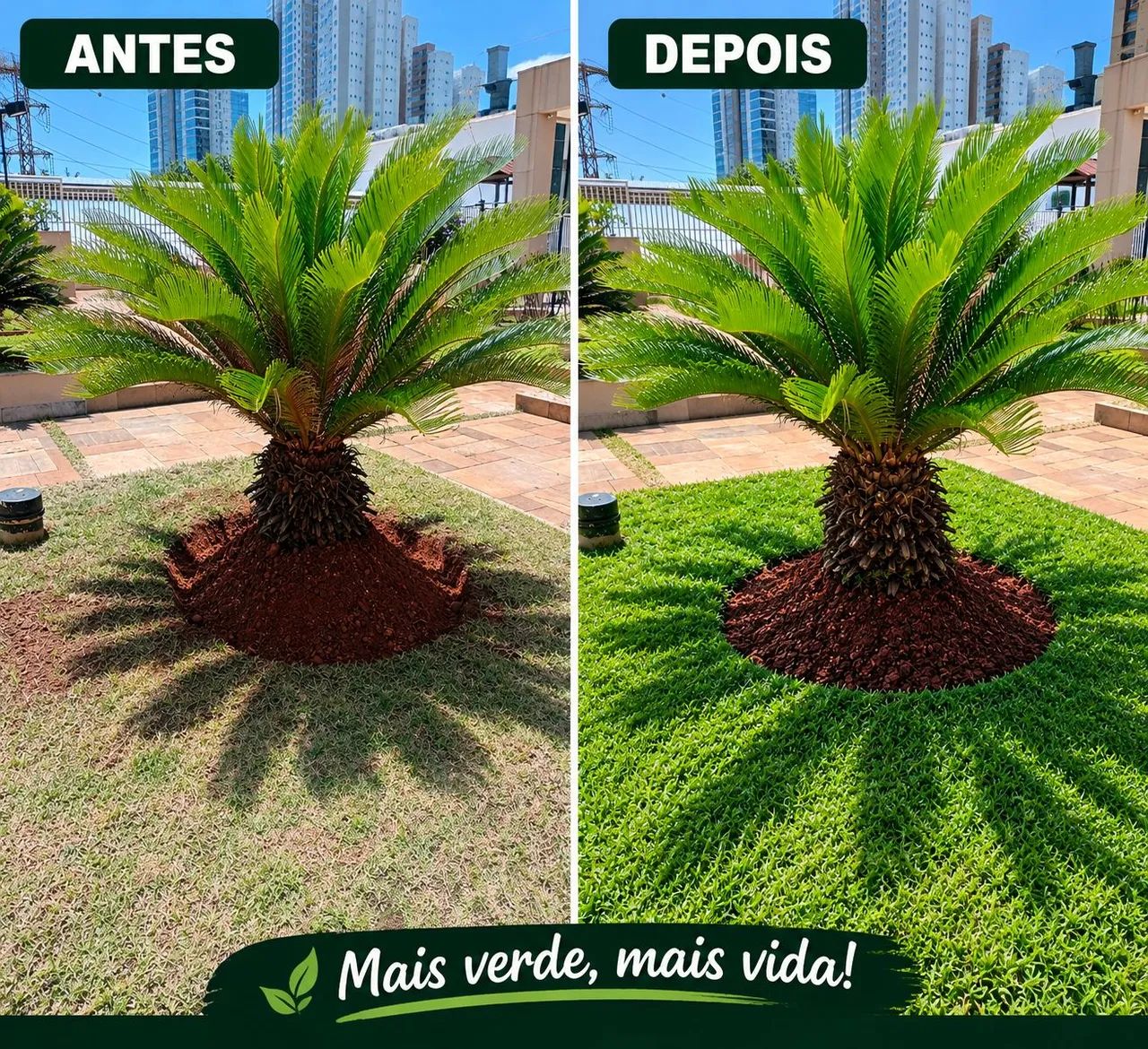 Jardinagem e paisagismo 