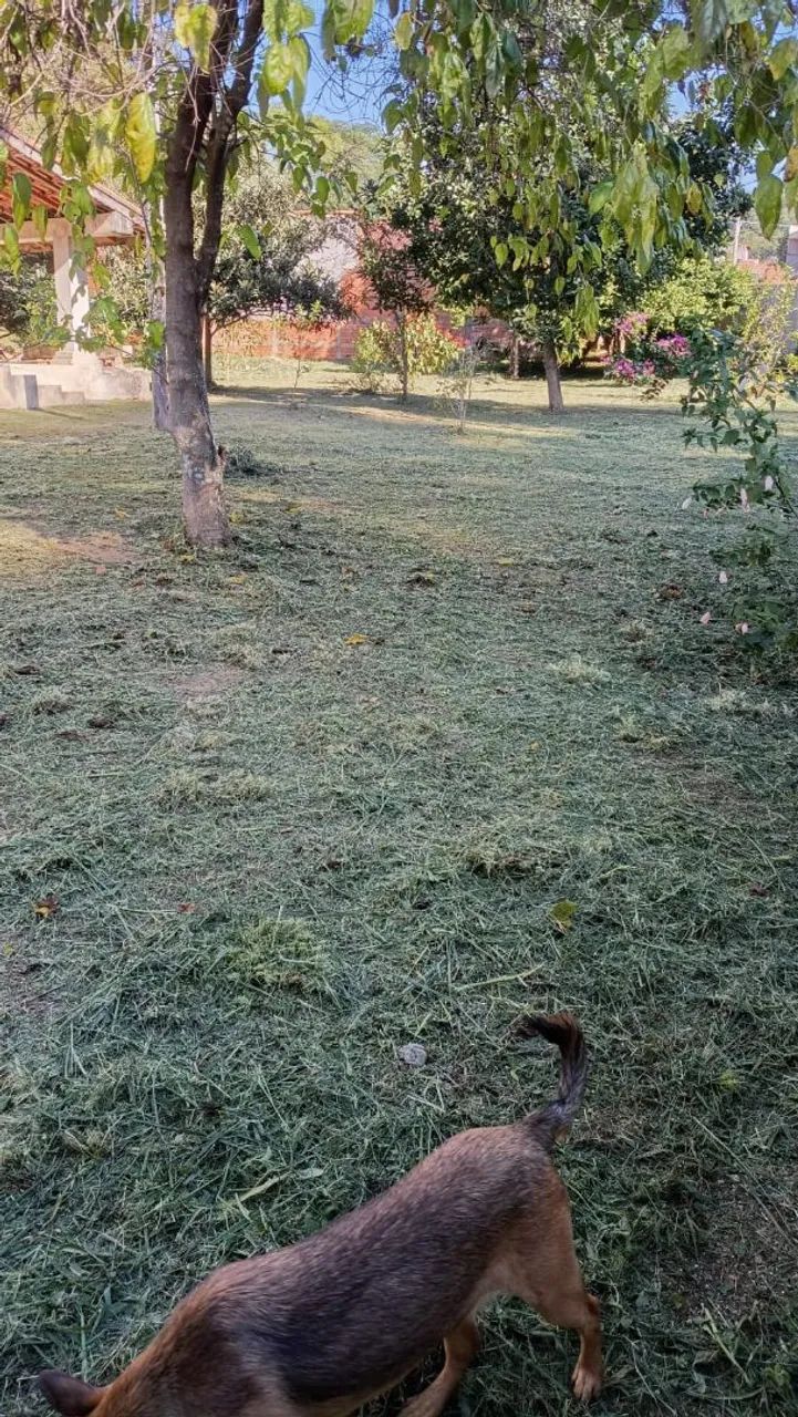 Fazemos jardim e rocamos terrenos preço a combinar 