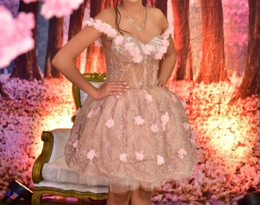 Vestido 15 anos - Foto 4