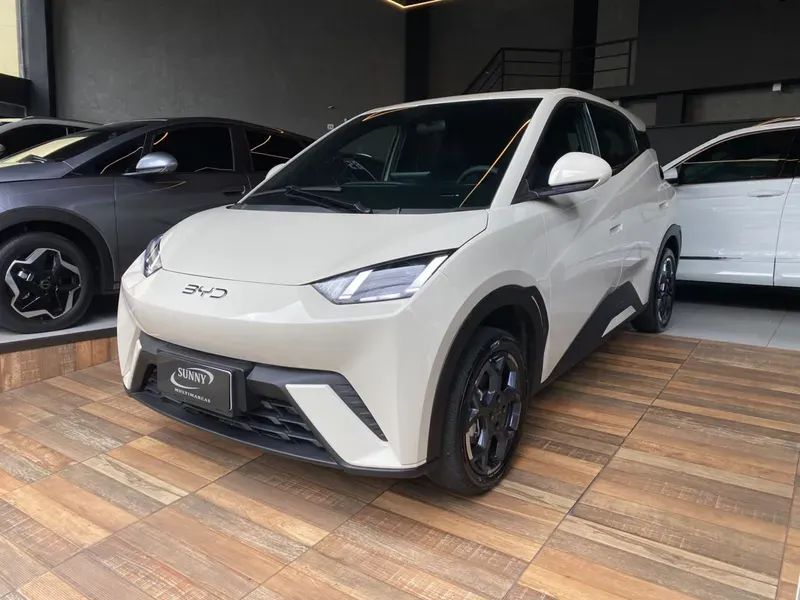 BYD Dolphin Mini GL, foto 2 de 20