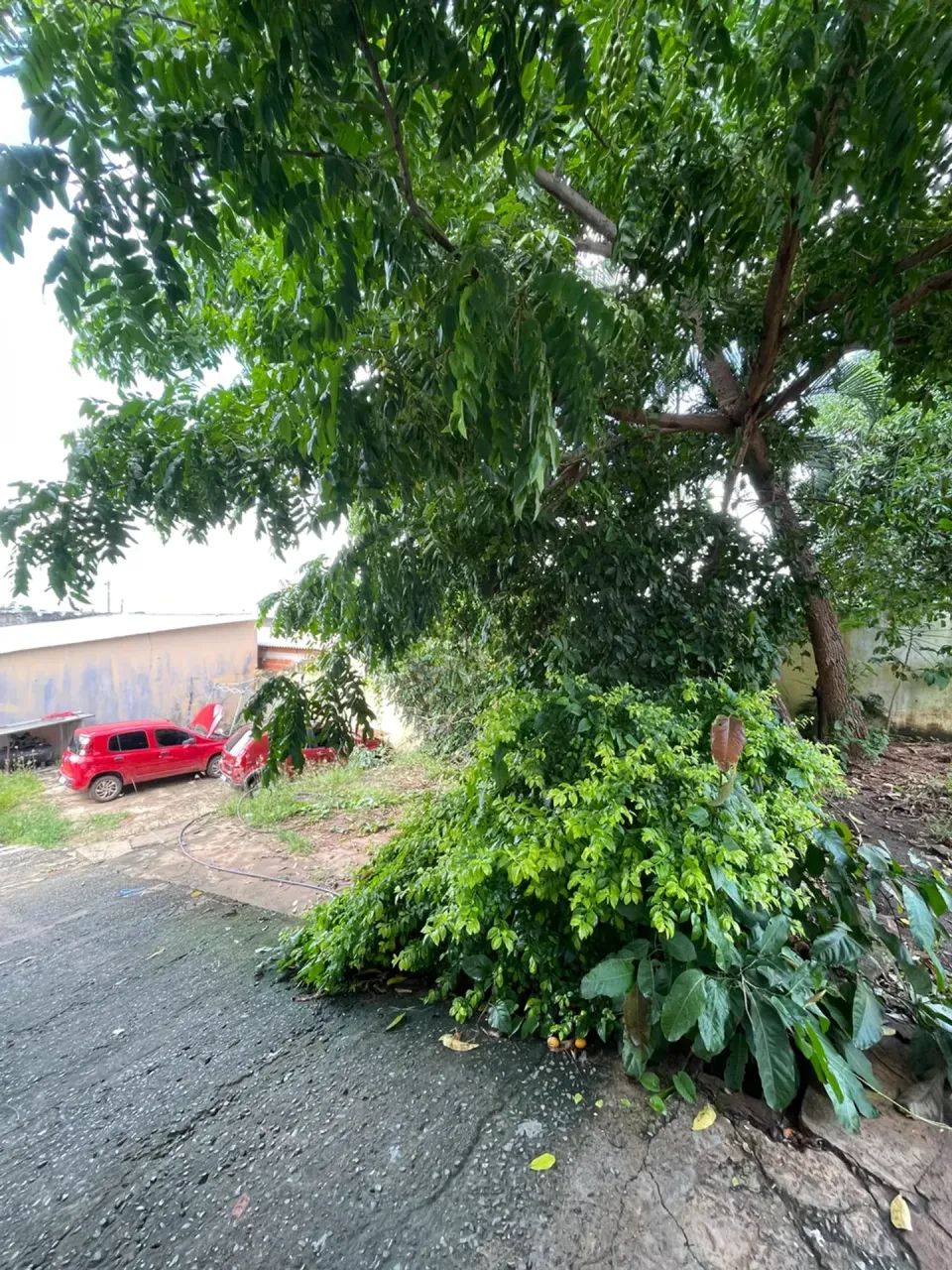 Imóvel Comercial, com casa e barracão, em Terreno de 1.004 m²  Bairro Poção | Cuiabá - Foto 5