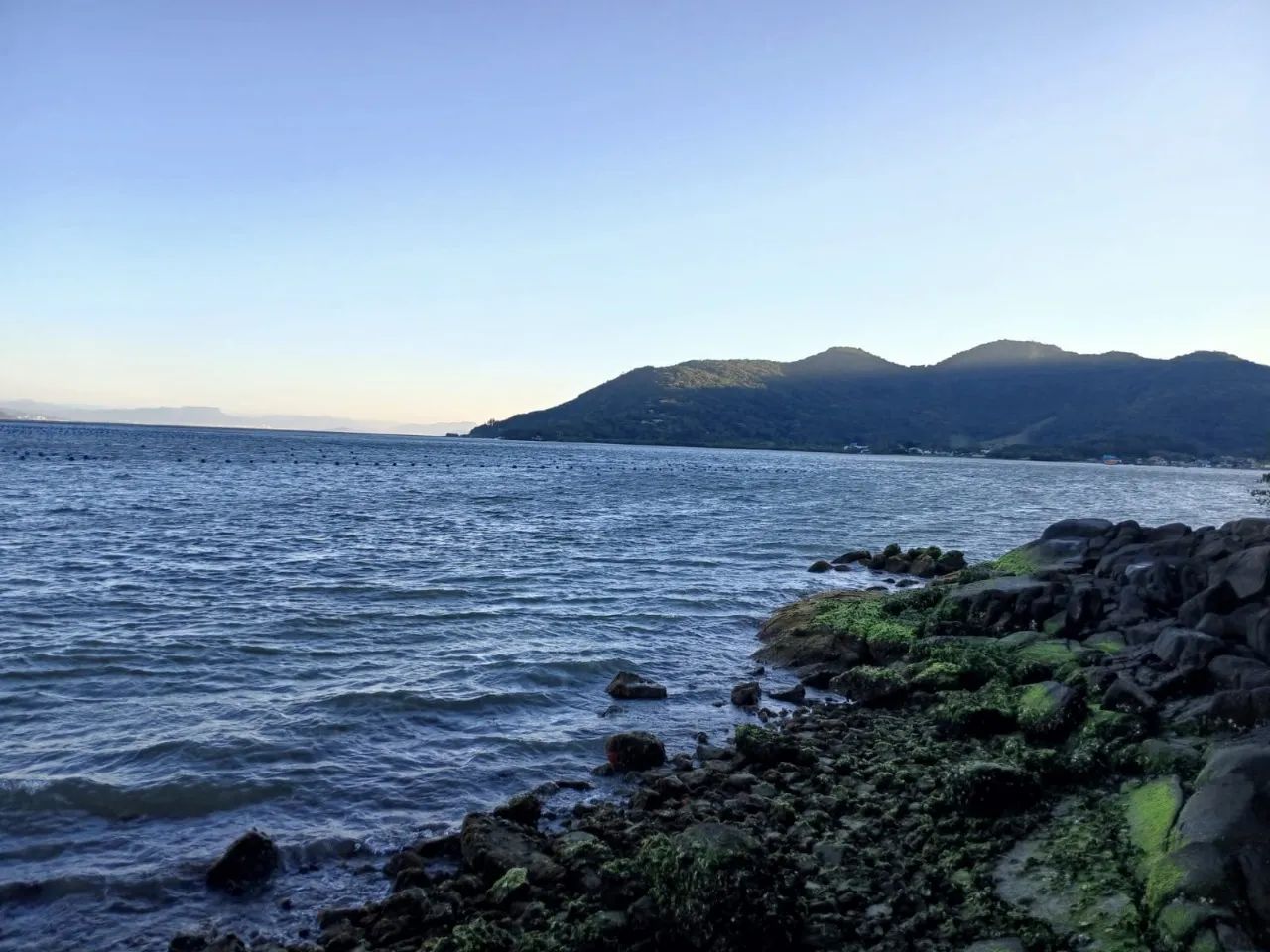 Terreno no Ribeirão da Ilha - Foto 4