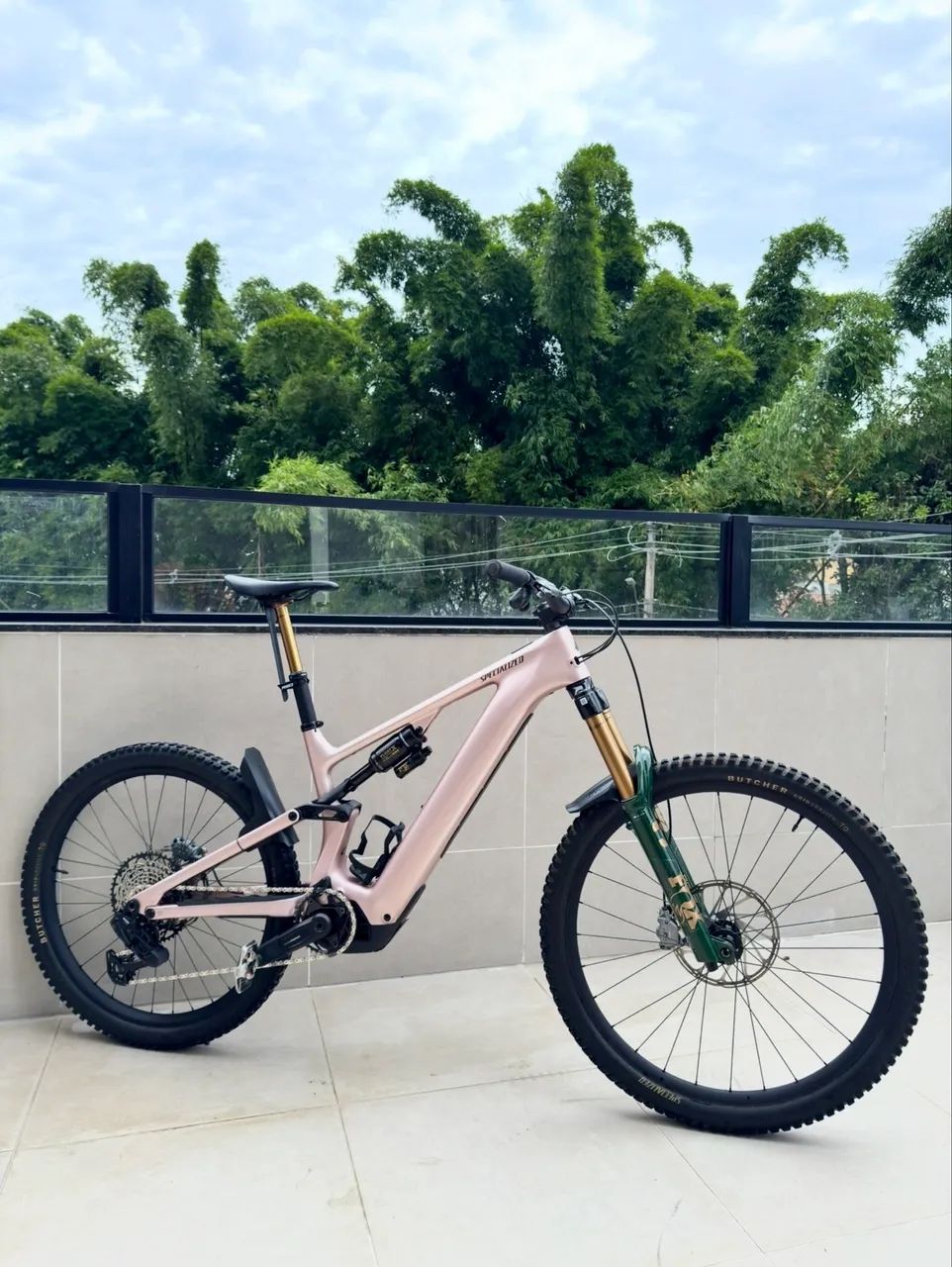 Specialized Turbo Levo 4