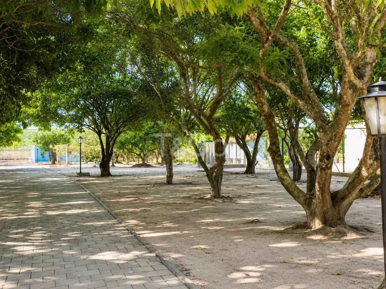 Sítio Em Conchal/Sp Com Piscina e Campo de Futebol - Foto 5