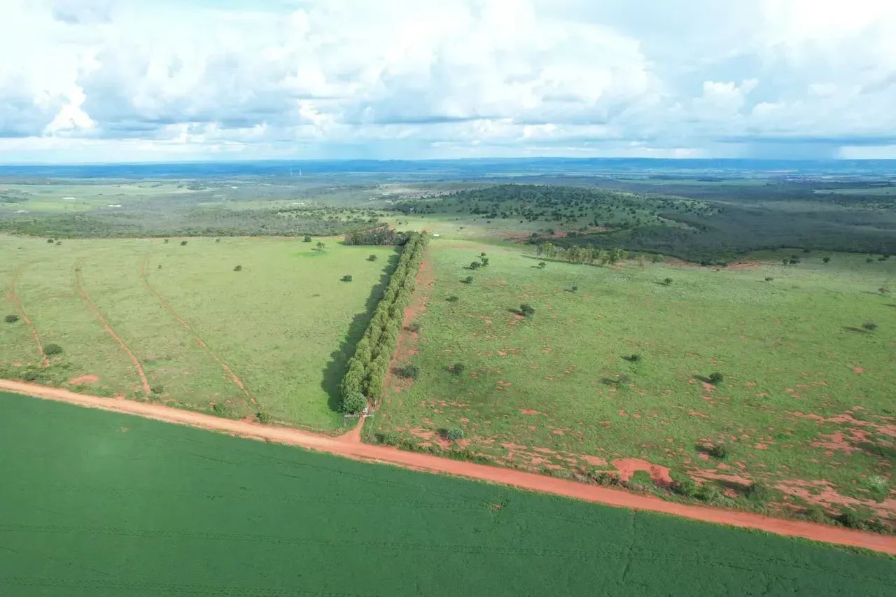 CÓD456  Fazenda 800 ha Dupla Aptidão | Rio Verde/MS - Foto 5