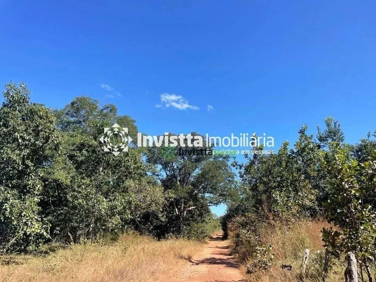 Fazenda com 900 alqueires para lavoura em Almas - Foto 4