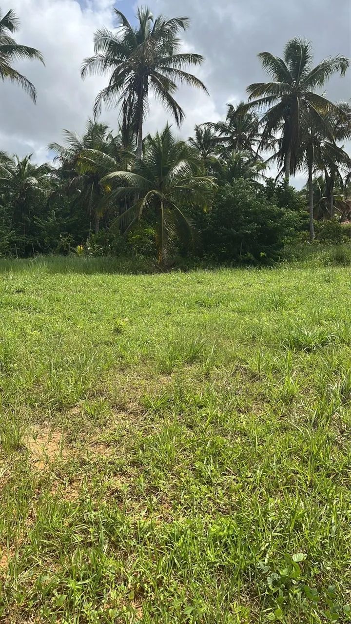 OPORTUNIDADE EM JAPARATINGA ! TERRENO 16x20m!  - Foto 5