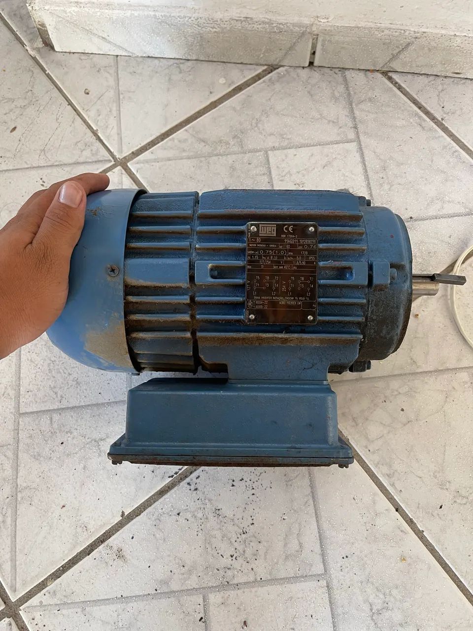 MOTOR WEG