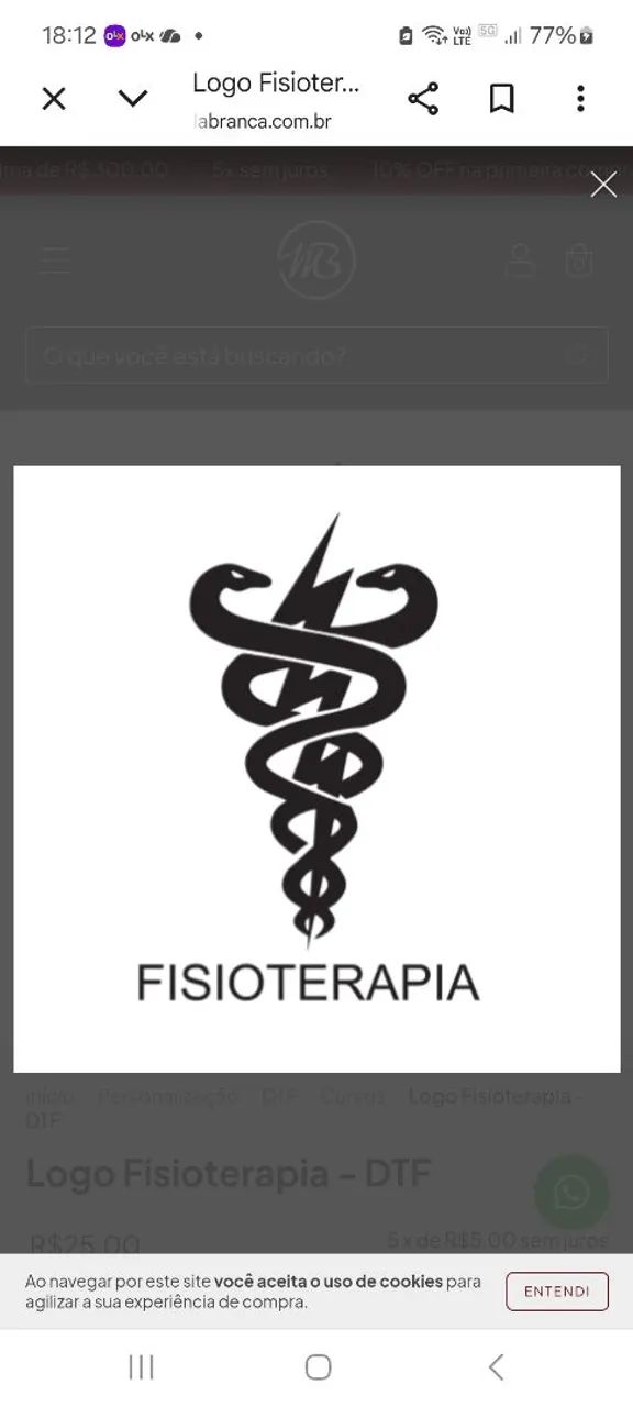Fisioterapia para idosos 