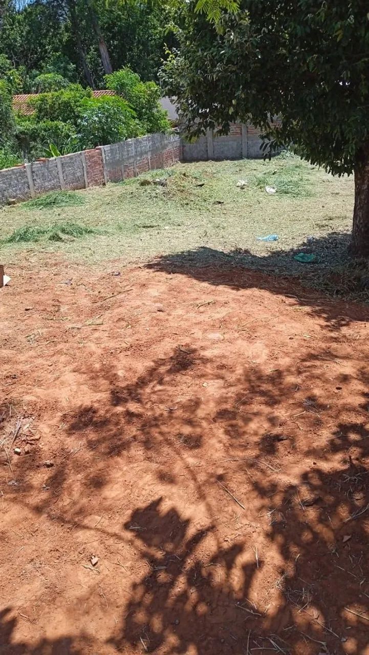 Jardim Europa 
