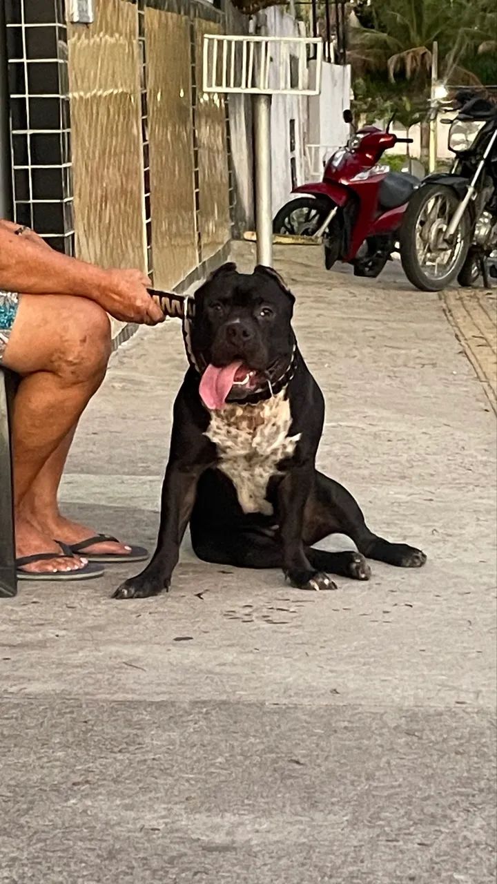 A procura de namorada