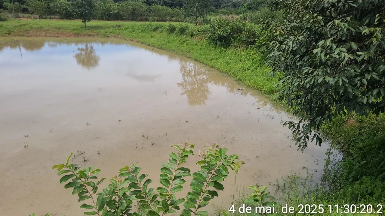 Vendo Chácara com tanque e pomar em Porto Velho/RO - Foto 3