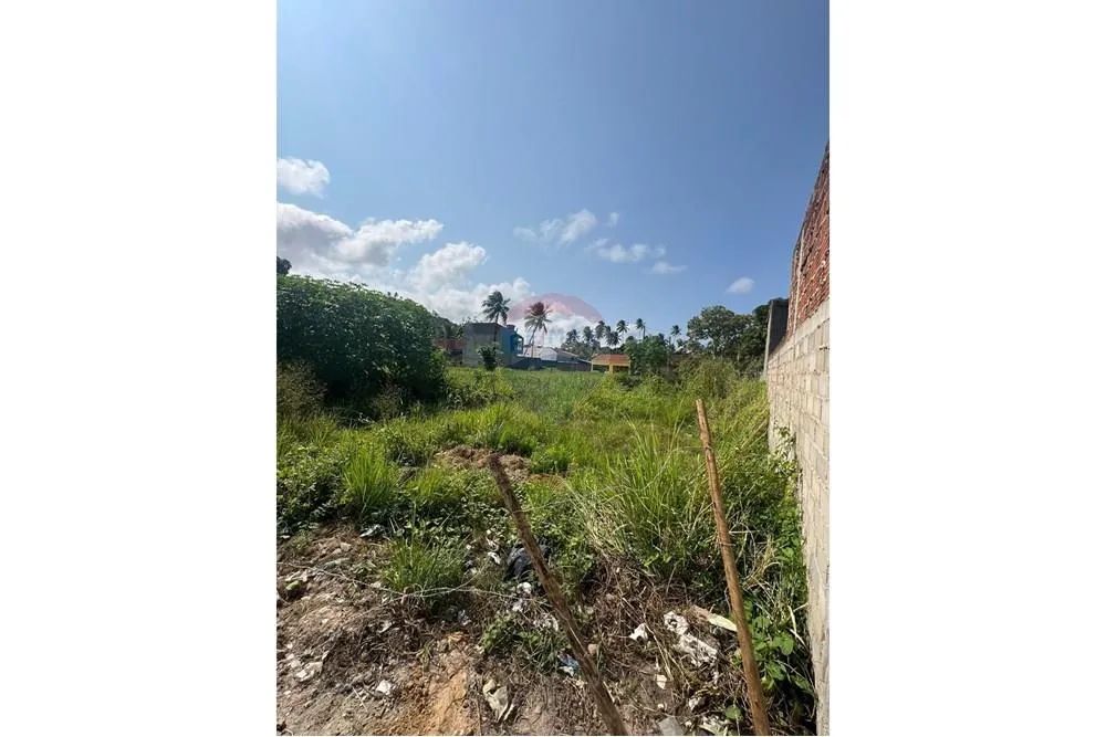 Terreno á venda São Miguel dos Milagres - Foto 5