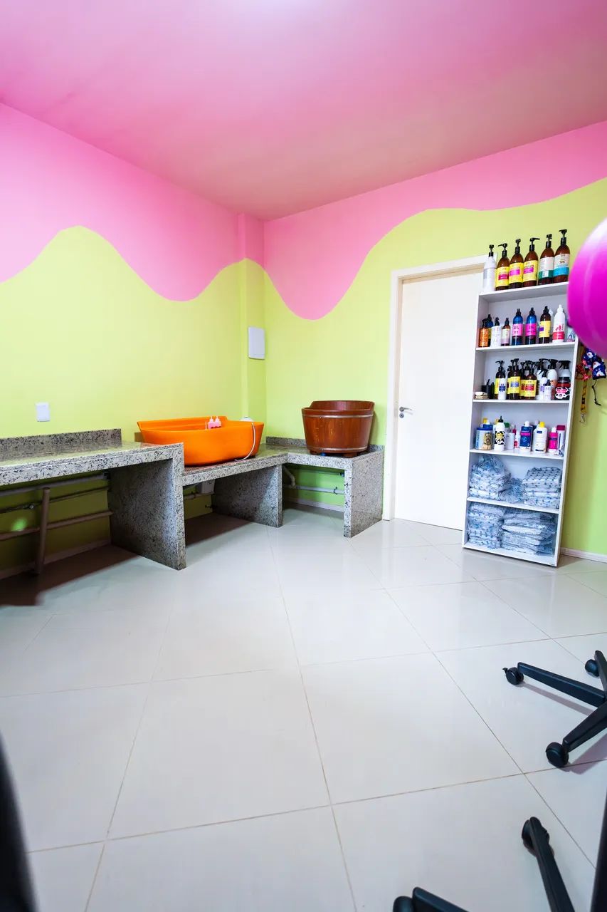 Petshop - Foto 3