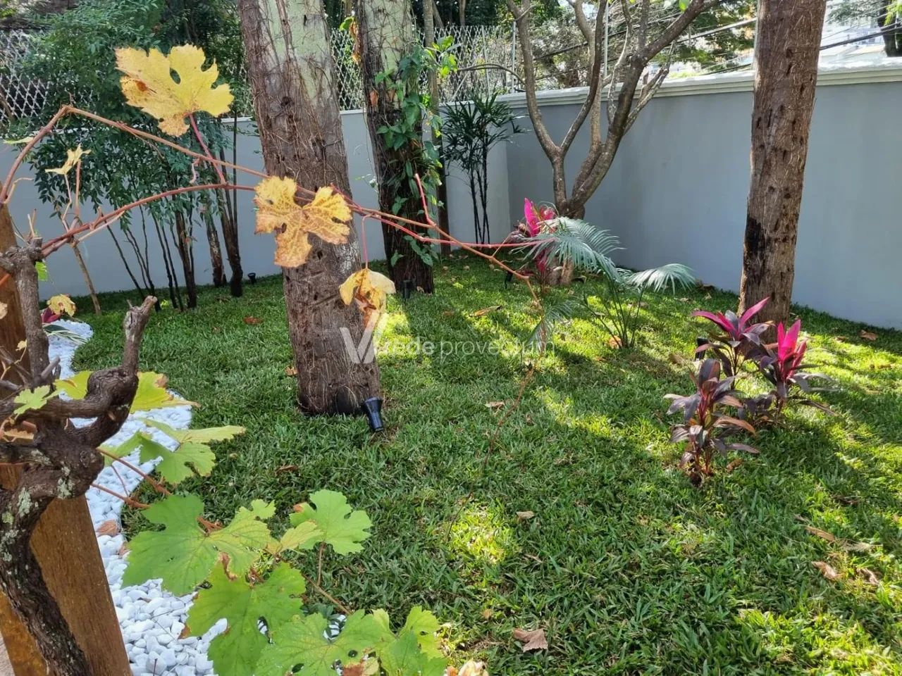 casa - Chácara Primavera - Campinas - Foto 4