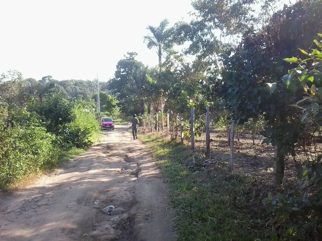 Ótimo terreno em Iranduba - Foto 4