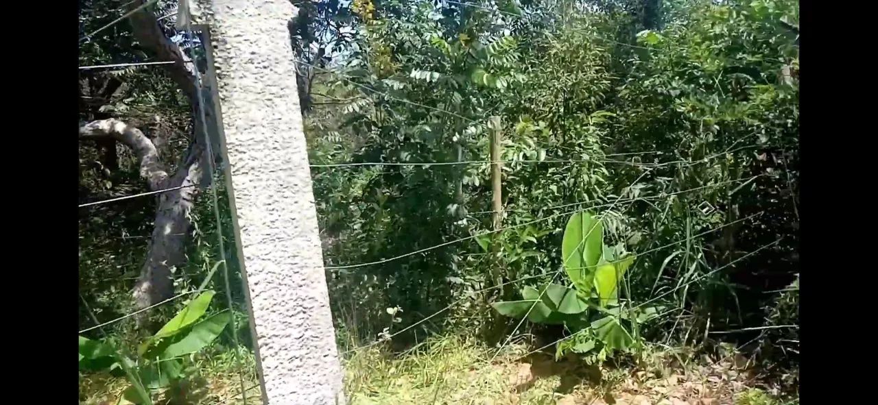 Vendo lote Santana do riacho,serra do cipó  - Foto 3